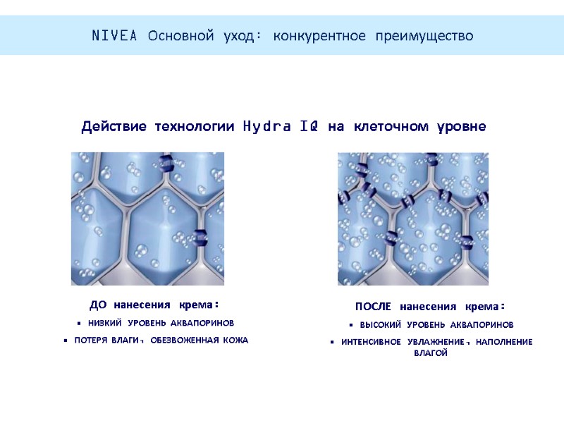 Действие технологии Hydra IQ на клеточном уровне ДО нанесения крема:  НИЗКИЙ УРОВЕНЬ АКВАПОРИНОВ